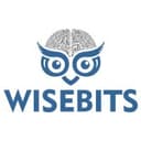 Wisebits