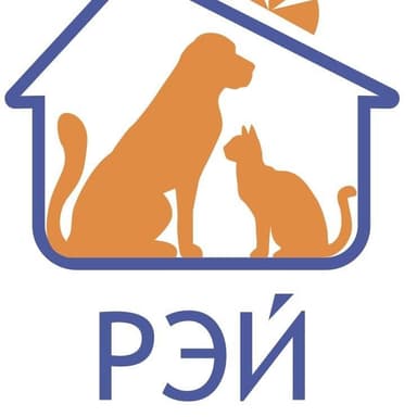 Благотворительный фонд «РЭЙ»